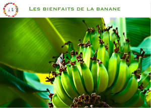 Les Bienfaits De La Banane - SYNERGIE ALIMENTAIRE - Nutrition Et Santé